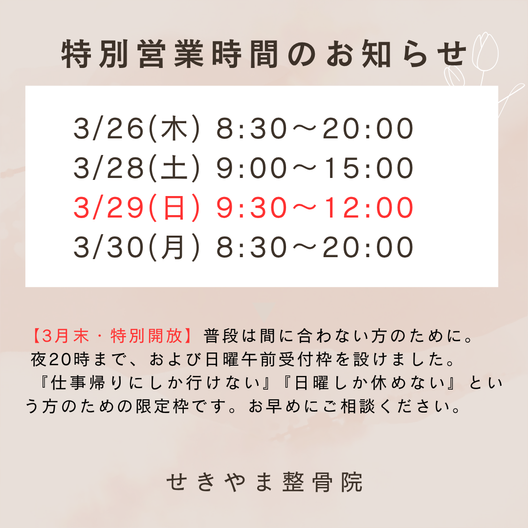 3月末限定 夜間・日曜特別受付のお知らせ